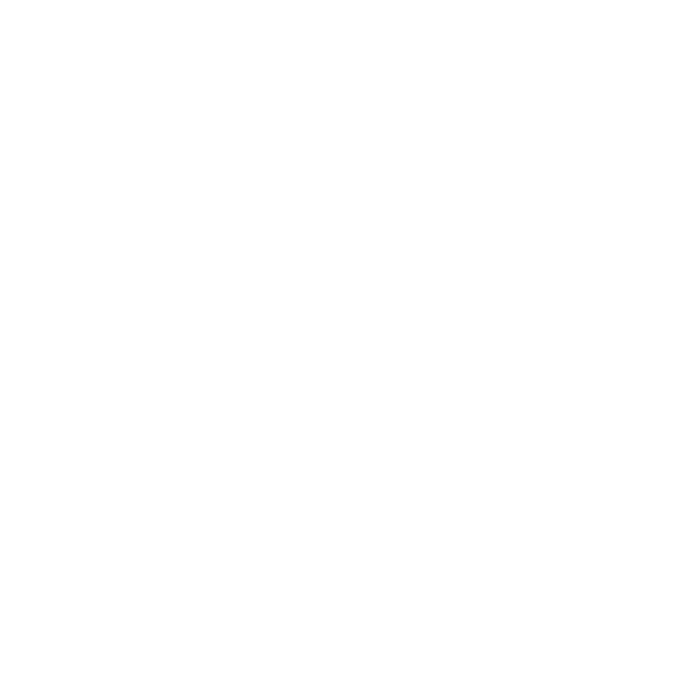 Máxima seguridad